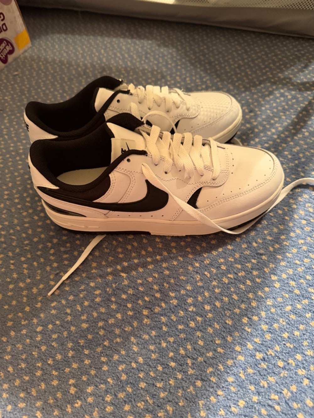 Nike White and Black Low-Cut Skate-Style Sneakers